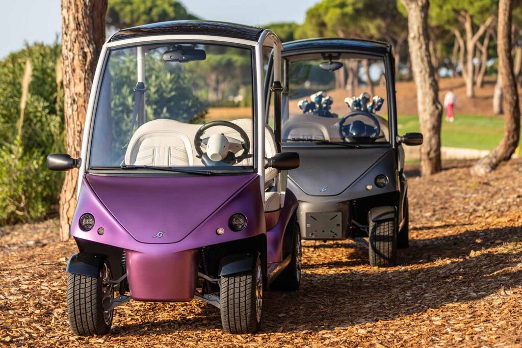 Accueil flotte golfette garia monaco