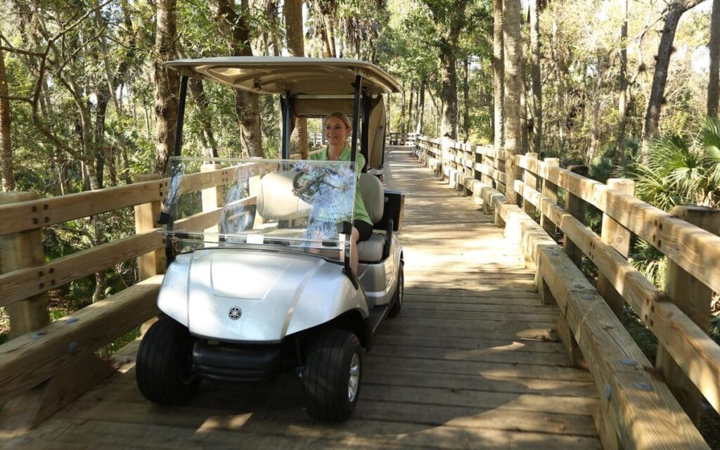 yamaha g29