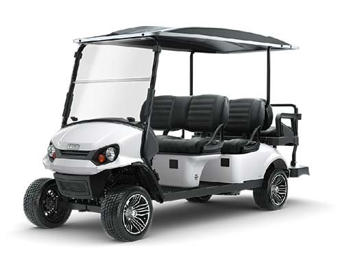 Carrinho Ezgo Express S6