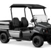 Utilitaire électrique Yamaha UMX