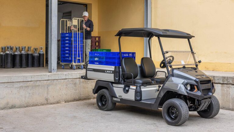 Yamaha umx utilitaire électrique