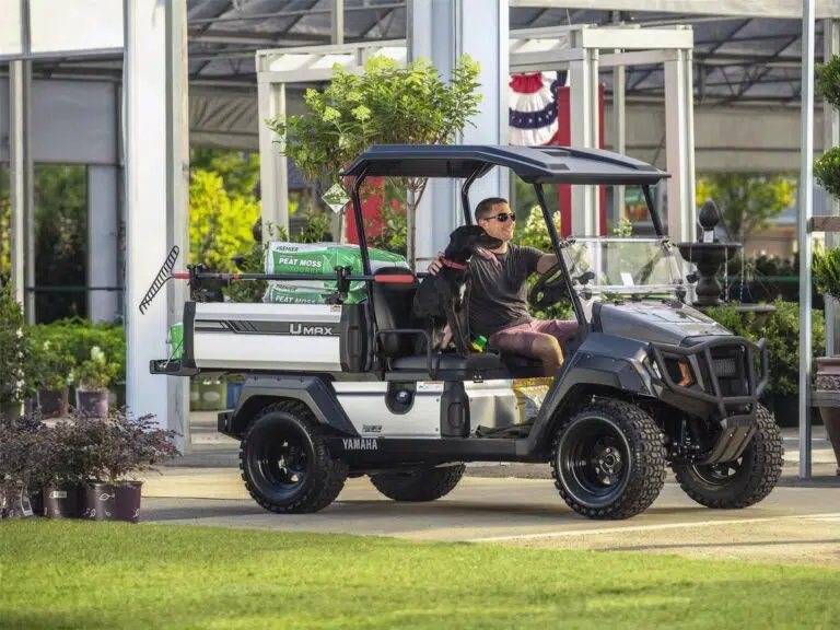 voiturette - golfette - utilitaire électrique Location de véhicules électriques : la nouvelle stratégie des campings, hôtels et golfs