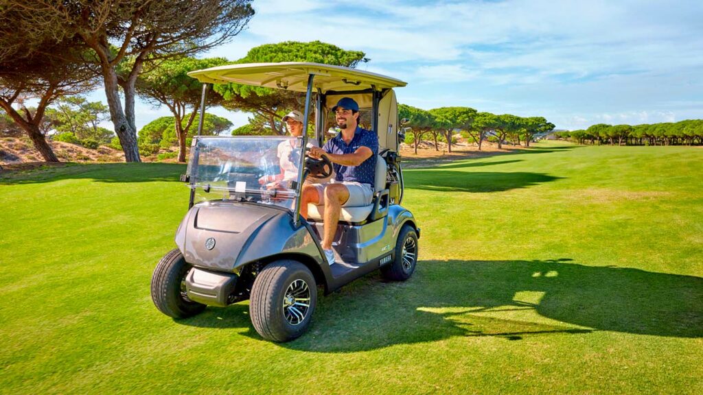 voiturette - golfette - utilitaire électrique golfette yamaha drive2